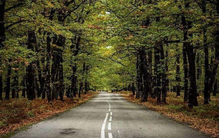 Ελλάδα ΠΑΣΧΑ ΣΤΗΝ ΑΡΧΑΙΑ ΟΛΥΜΠΙΑ & ΣΤΑ ΟΡΕΙΝΑ ΧΩΡΙΑ ΑΡΚΑΔΙΑΣ & ΗΛΕΙΑΣ  3 HΜΕΡΕΣ